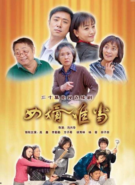 女婿难当电视剧,笑谈家庭风云，解码现代婚恋难题