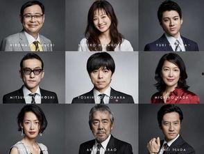 电视剧日剧,穿越时空的情感之旅