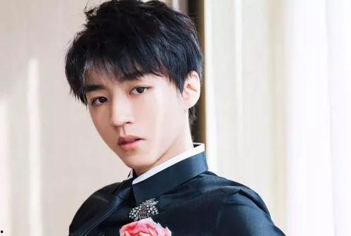 王俊凯演的电视剧,王俊凯演绎热血青春传奇