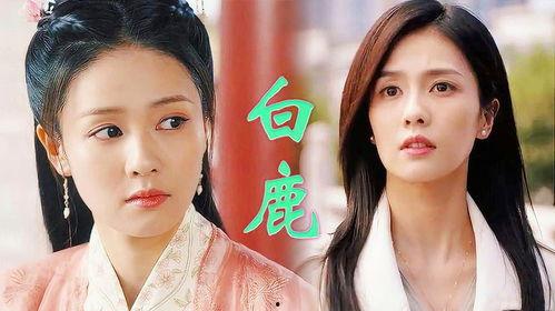 白鹿演过什么电视剧,盘点其主演的电视剧作品