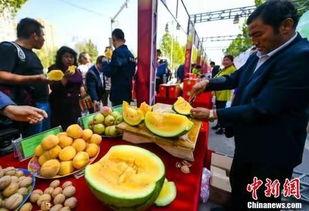 最新吃瓜爆料免费观看红领巾,最新吃瓜爆料，免费观看独家内容！